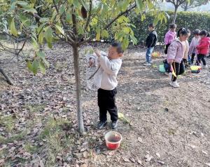 “游”趣户外“戏”悦童年-双泉小学附属幼儿园户外游戏活动-图2