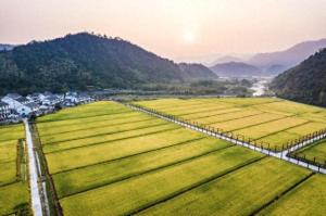 不再留守城市！返乡创业种田致富路线揭秘，五个农业项目等你来！