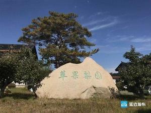 秋游延边，最难忘的是苹果梨的味道……  第4张