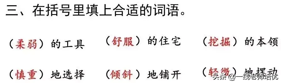 知识点+练习题 部编版四年级语文上册 11 蟋蟀的住宅-图20