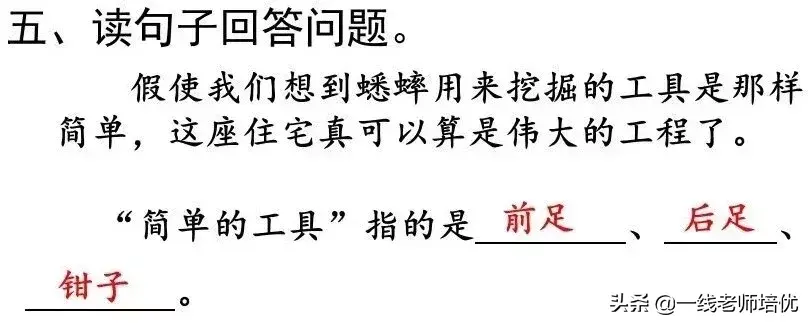 知识点+练习题 部编版四年级语文上册 11 蟋蟀的住宅-图22