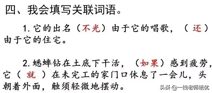 知识点+练习题 部编版四年级语文上册 11 蟋蟀的住宅-图21