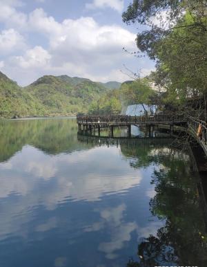 完美的一次旅游-阳明山国家森林公园