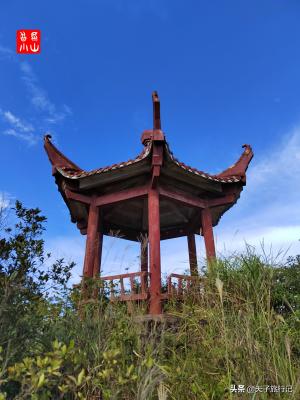 崇义阳明山全景旅行攻略（附图）  第11张