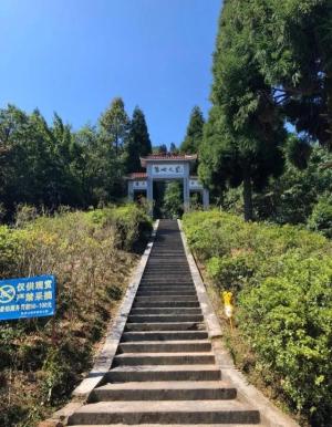 完美的一次旅游-阳明山国家森林公园