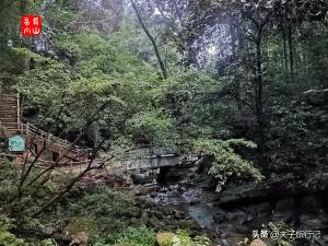 崇义阳明山全景旅行攻略（附图）  第21张