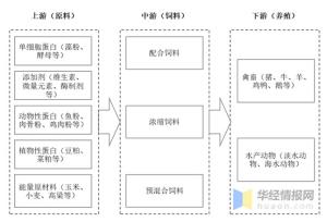 2020年中国工业饲料经营、供需现状分析，饲料安全生产是基础-图2