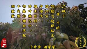 诗词赏析：江城子