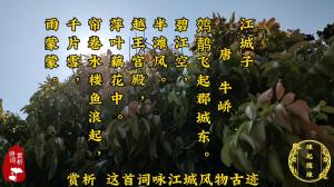 诗词赏析：江城子