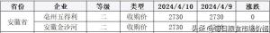 2024年4月10日小麦、稻米、大豆价格及分析  第6张