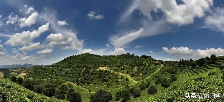 盘点阳朔最适合自驾游的八大景点，每个都美到窒息-图11