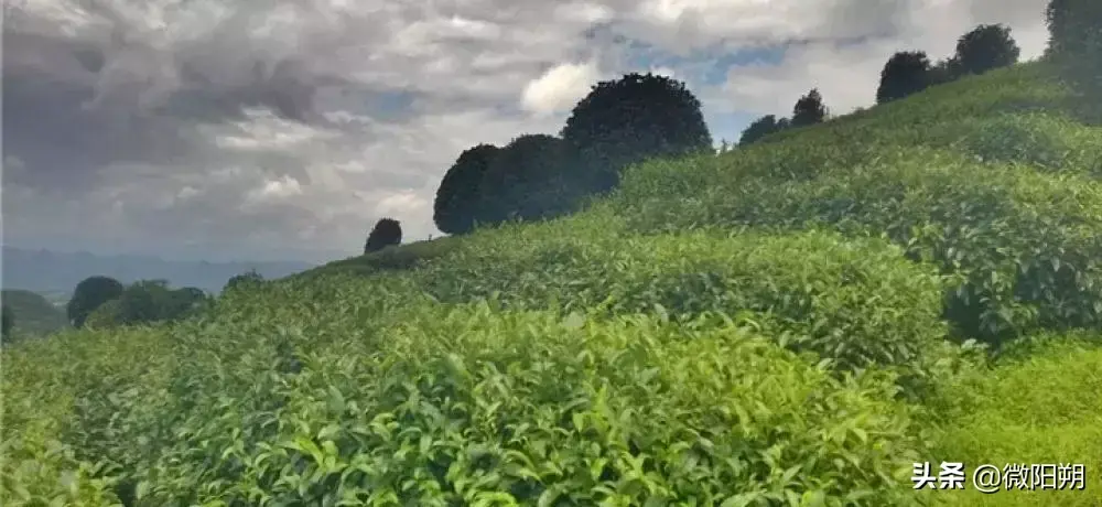 盘点阳朔最适合自驾游的八大景点，每个都美到窒息-图12