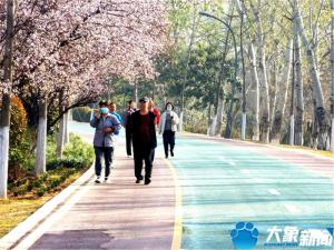 漯河沙澧河：春花烂漫处 杨柳醉春烟-图6