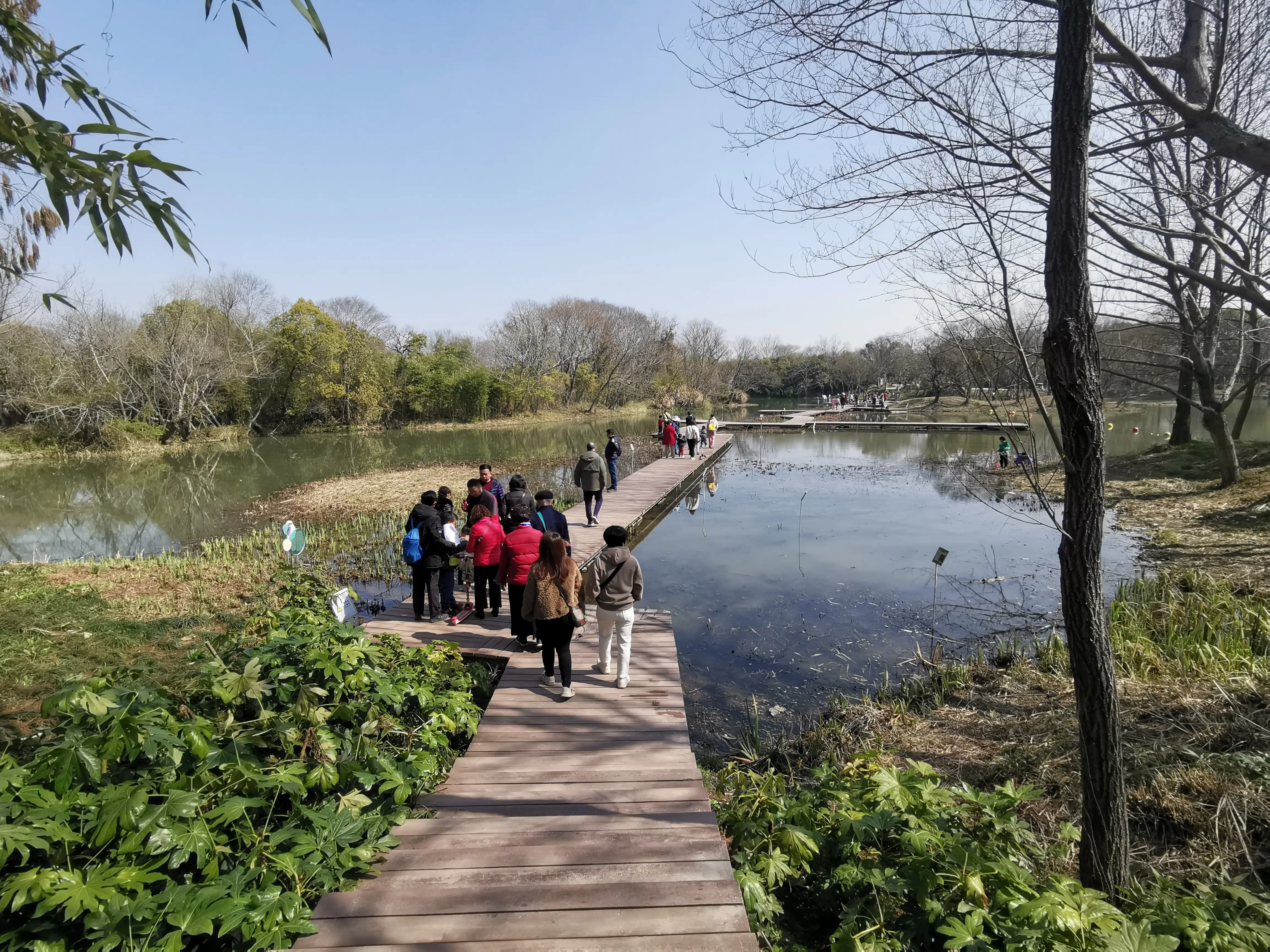 格局真大，又一个免费的天然氧吧，西溪湿地等你来-图5