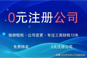 东莞市工商注册登记官网，简单操作，快速完成企业注册  第1张