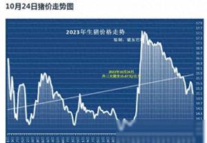 2023.10.24-明天猪价（全国最新猪价已更新！）-图1