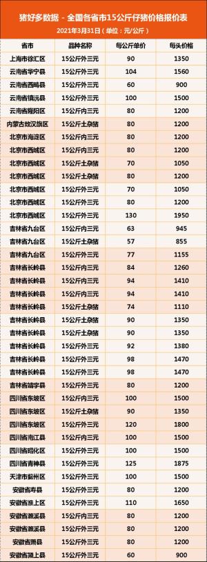 今日15公斤仔猪价格，肥猪和仔猪价格倒挂，仔猪决定短期盈利？-图9