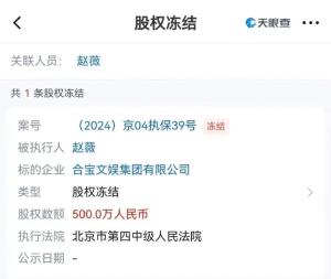 500万元股权再被冻结后，赵薇要复出了？  第2张