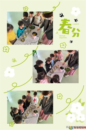 「乐植课程」 “好吃的蒜苗”-柳新镇魏庄幼儿园中班课程故事-图11