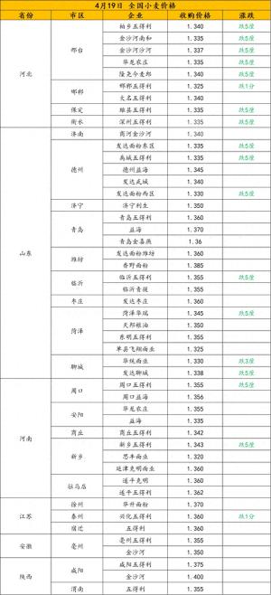 4月19日小麦头条：加速跌价！今日最新行情信息