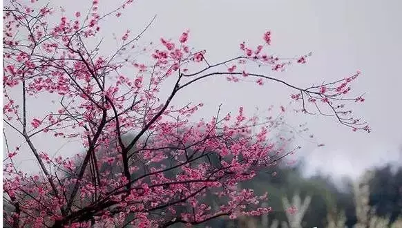 合肥最适合一日游的7个地方，人少景美有腔调！