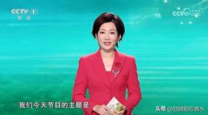 11个美女，是央视各频道的“当家花旦”，最性感的是“六公主”  第6张