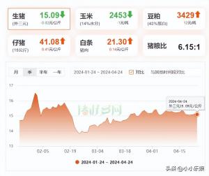 全国猪价反转走低，4月24日涨势受挫，多地生猪市场冲高乏力-图1