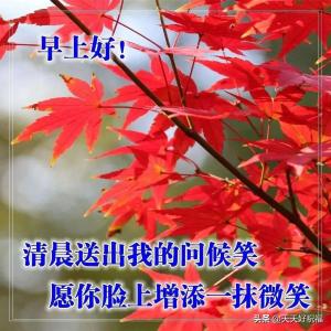 最新早上好祝福问候语，简短温馨秋天问候语句大全  第2张