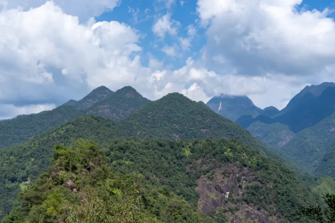 武夷山：探秘“环带” - 隐藏在山水里的“丹霞”，到底有多美？-图14