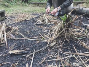 野外迷路、受伤，你能活下去吗？用18道题测试一下自己的生存能力-图2