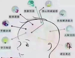 早教小月龄全脑课程教案-作为老师您不知道的事情都在这  第1张