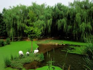 必须收藏！最新石家庄景区大全 票价、时间、地点都在这了！