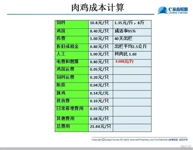 毛鸡破6元/斤，鸡苗奔9元/只，肉鸡变成金凤凰！-图5