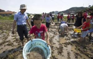 养殖泥鳅的越来越多，你知道一亩泥鳅塘能够挣多少吗？