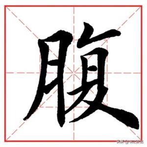 每日一字860：腹  第2张