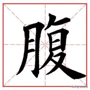 每日一字860：腹  第4张