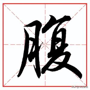 每日一字860：腹  第5张