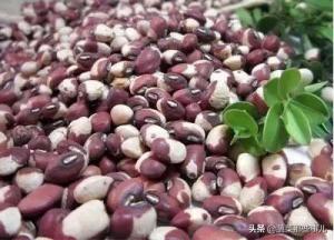 菜豆、豇豆、扁豆、四季豆……强大的豆角家族，它们到底谁是谁？  第5张