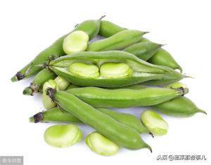 菜豆、豇豆、扁豆、四季豆……强大的豆角家族，它们到底谁是谁？  第24张