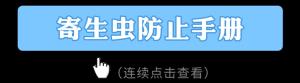 你会区分“福寿螺”和“田螺”吗？如果符合5点特征，不吃为妙  第22张