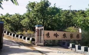 蓟州梨木台满族乡秀岭家园农家院，坐拥七十亩山林，独占一座山