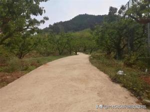 蓟州梨木台满族乡秀岭家园农家院，坐拥七十亩山林，独占一座山  第13张