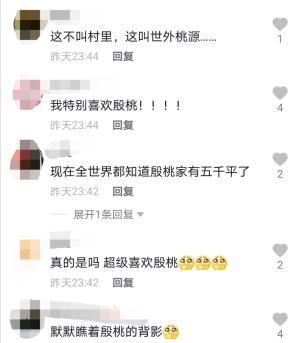 殷桃疑已婚？在好友5000平豪宅中约会度假，喊神秘人老公太甜蜜  第4张