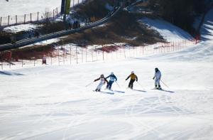 京郊各大滑雪场开板迎客，新雪季活力四射