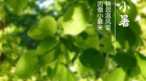 小暑节气经典古诗阅读 - 清·乔远炳夏日  第3张