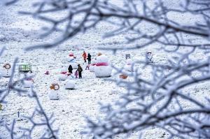 金佛山迎来今冬第一场雪  第2张