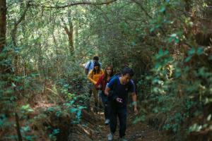 大理苍山洱海介绍及旅行攻略  第13张