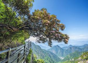 杭州国庆旅游攻略：最值得去的10个景点，假期周边游好去处  第11张