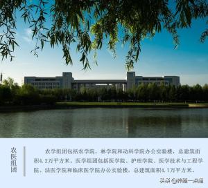 董发明，河南科技大学动物科技学院教授，中兽医专家-图3