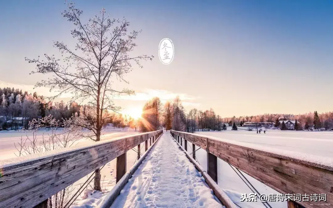 十首冬至诗词：探春漫道江梅早，盘里酥花也斗开